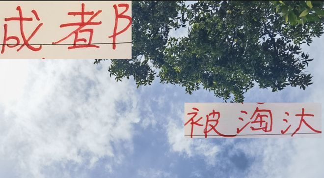 足协杯点球输河南 成都不会要把申花 走过的路再走一遍吧？