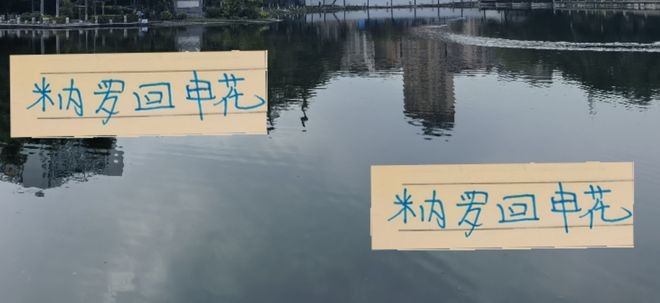 马莱莱的接班人米内罗回申花 联赛指望不上他了 只能看亚冠