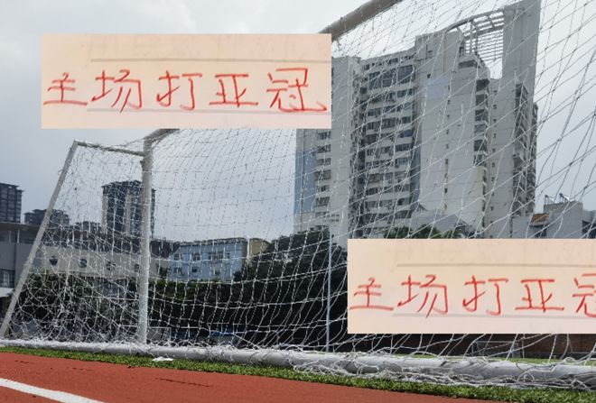 主场打亚冠！ 又可以看到威力9了 就不知道海港穆帅 上多少外援