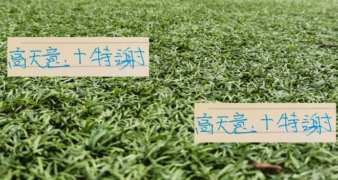 高天意和特谢拉才是本赛季进攻源头 两人合体还是能在成都一战