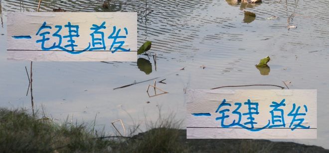 一鍵首發(fā)！曾經(jīng)申花第一獸腰阿馬杜 亞冠+聯(lián)賽 都撈不到首發(fā)機會