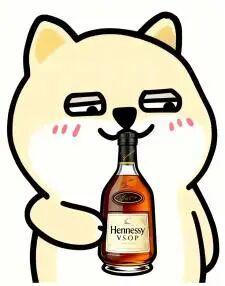 杨瀚森再度首秀！打的是布朗尼的湖人！