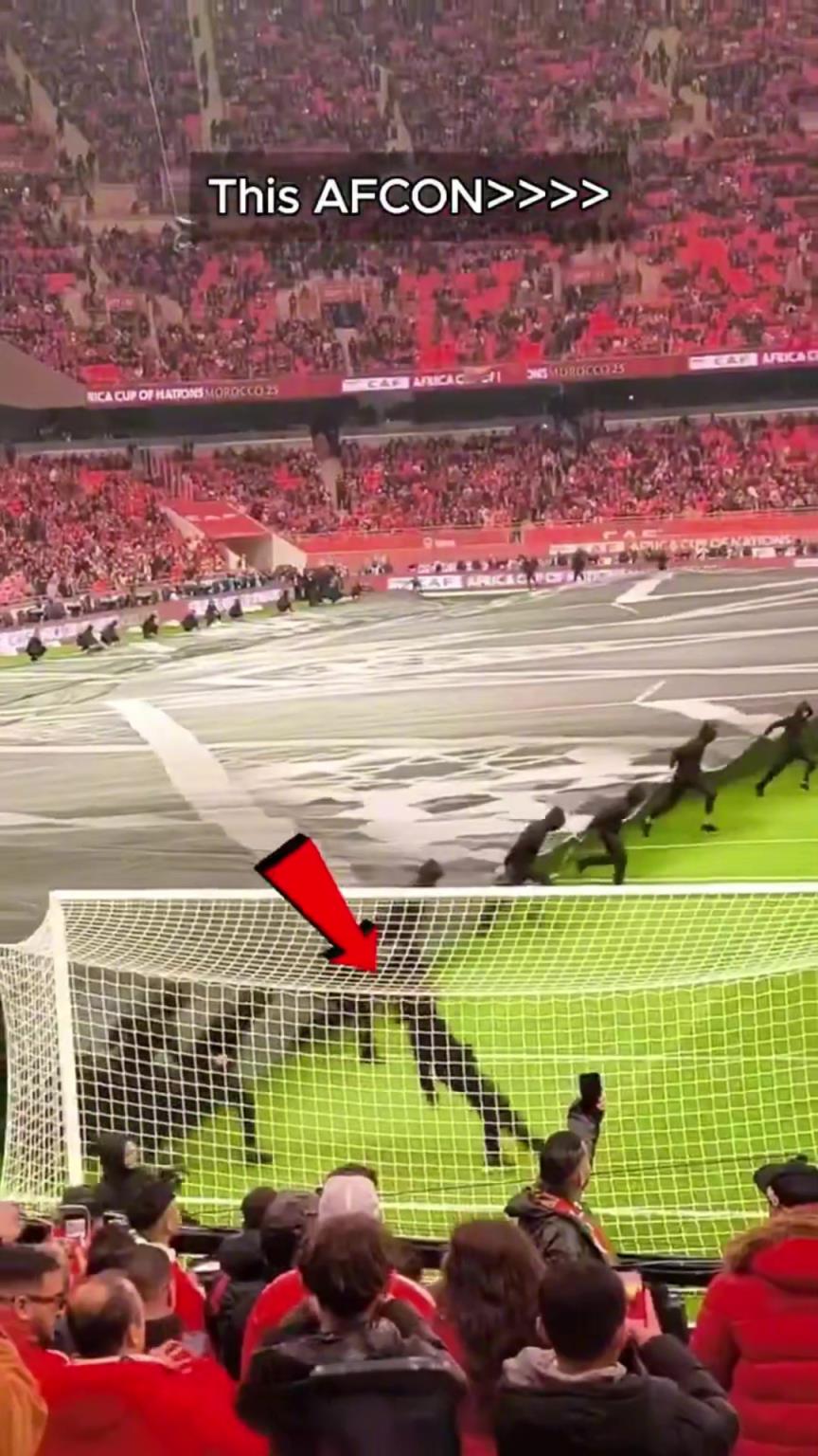 國外博主：不僅是足球，更是娛樂盛宴，這就是我熱愛非洲杯的原因