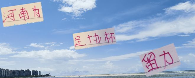 河南还真是为足协杯留力！ 五外援打成都 却不能打海港！