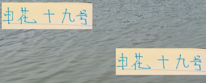 换个角度看申花19号！ 12场比赛造6球 阿苏埃其实挺厉害的！