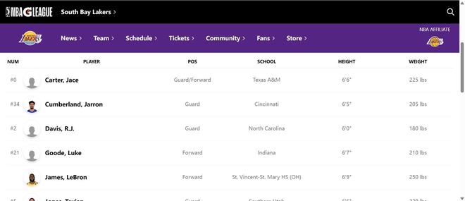 正式“在编”G联赛球员，詹姆斯出现在了南湾湖人的阵容名单中