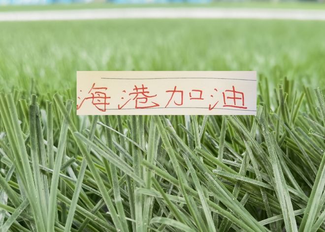 海港新赛季前除了伤兵满营坏消息外！其他都是好消息！