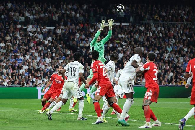 皇马双杀本菲卡 晋级欧冠16强