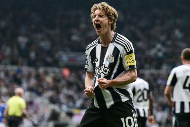 跟队：纽卡认为戈登今夏会离队，他想在欧冠球队获得更高薪资