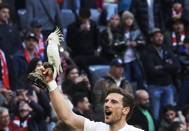 格雷茨卡：和其他顶级球队相比，拜仁是个更有家庭氛围的团队