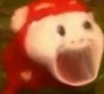 锁定了！再见湖人！NBA第一黑马球队...