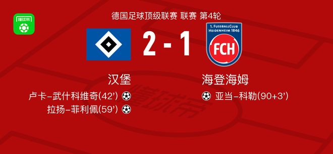汉堡2-1海登海姆，拉扬-菲利佩建功，卢卡-武什科维奇破门