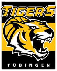 圖寅根雷達(dá)虎