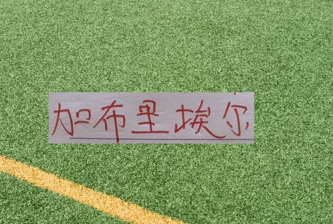 海港三大锋线主力！莱昂跟武磊还在养伤状态 加布里能亚冠突围吗