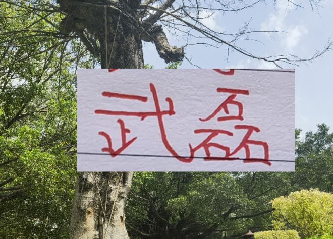 2月海港就要打亚冠比赛 大概率武磊+莱昂纳多 这些一哥上不了