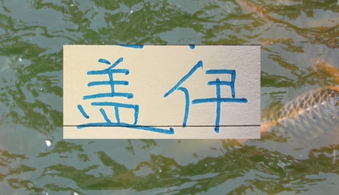 申花也是找到比马莱莱更厉害的前锋 盖伊踢中超足够了 申花也是找到比马莱莱更厉害的前锋 盖伊踢中超足够了