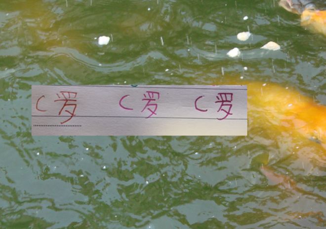 亚冠精英赛事申花“先走一步”！ C罗罢赛有可能结束！