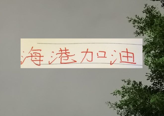 海港半个主力阵容 也能在亚冠拿到一分 在中超全主力那不更厉害