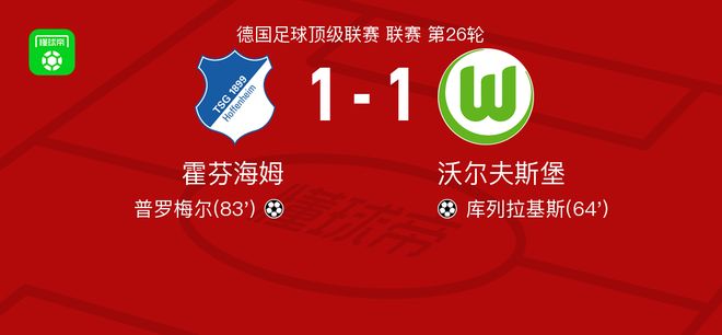 霍芬海姆1-1沃尔夫斯堡，库列拉基斯首开记录，普罗梅尔救主