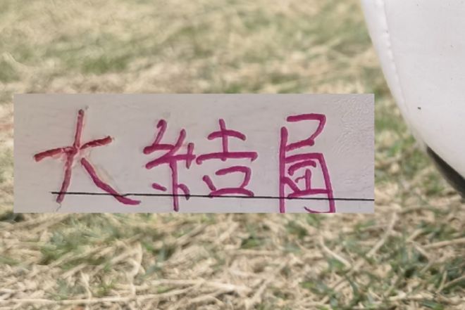 海港引援也基本大结局!新人里面谁才是真正大腿?