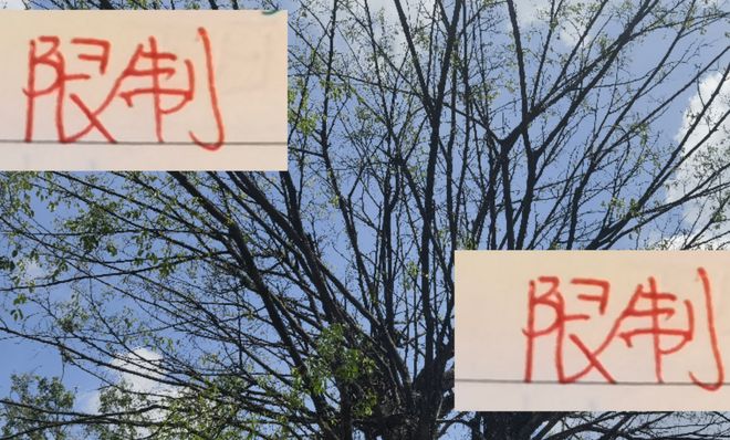 又是工资帽又是限制外援 中超三连冠海港 在亚冠也无能为力...