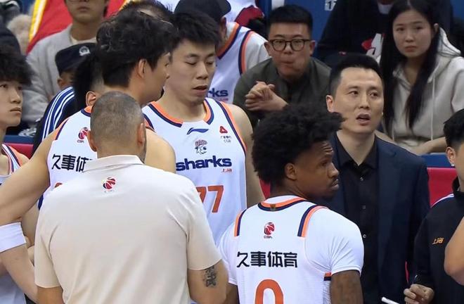 單節33-8，上海男籃輕取青島豪取八連勝，王哲林21+8，王睿澤低迷