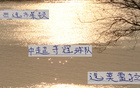 要奪冠！還要選對優(yōu)質(zhì)供貨商才行 切爾西選布萊頓 海港選擇莫雷拉