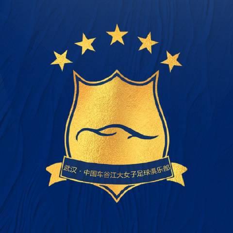 赛季初女超联赛实施限薪、限国脚政策，车谷江大流失大批优秀队员