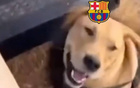 马竞官方发meme调侃巴萨：摘掉狮子的头套，发现其实是小狗
