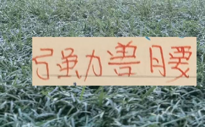 中超前4的后腰 反而申花是國(guó)產(chǎn)的獸腰 其他球隊(duì)都是洋貨