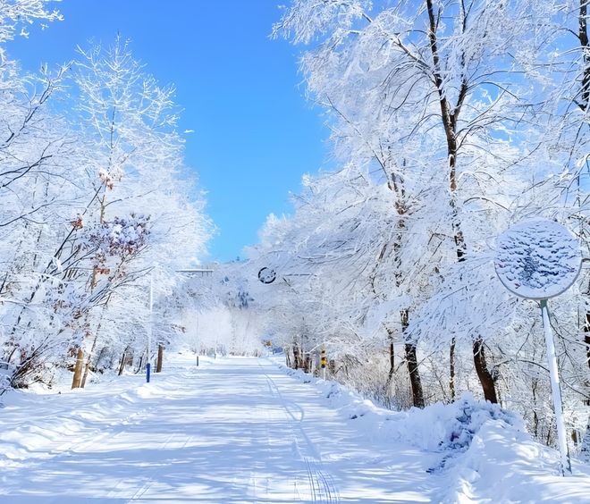 溫馨！零下37度，胡明軒冰天雪地中，給球迷簽名