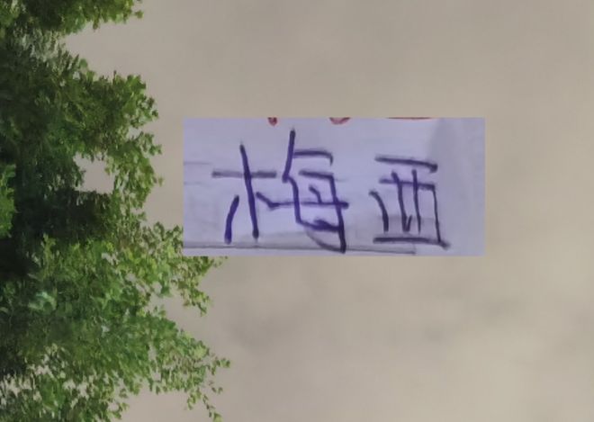 申花2026第一场热身被逼平！ 梅西妻子晒泳装 真不把粉丝当外人