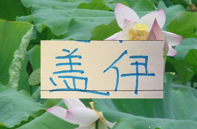 2026申花首秀！好消息盖伊、拉唐能上 坏消息杨帅 蒋圣龙不能打！