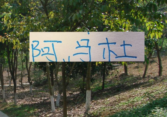 亚冠别受伤才是王道！ 想想去年申花兽腰阿马杜 太可惜了