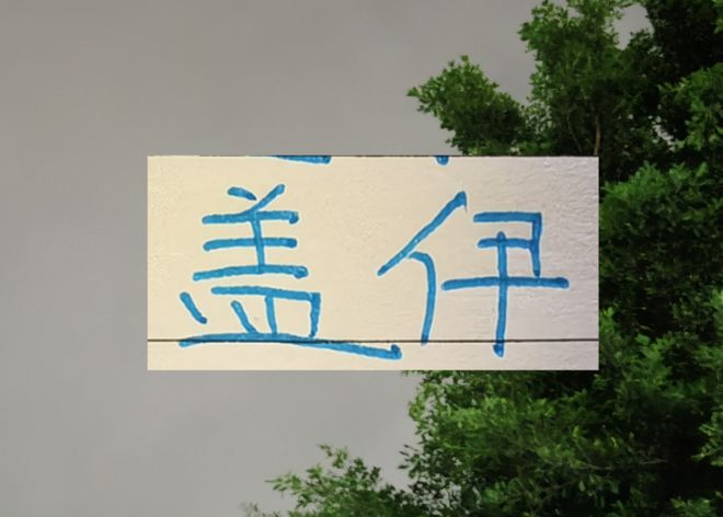 申花新三叉戟特点 豪华版“马莱莱” 体力提上去 中超进球就有了