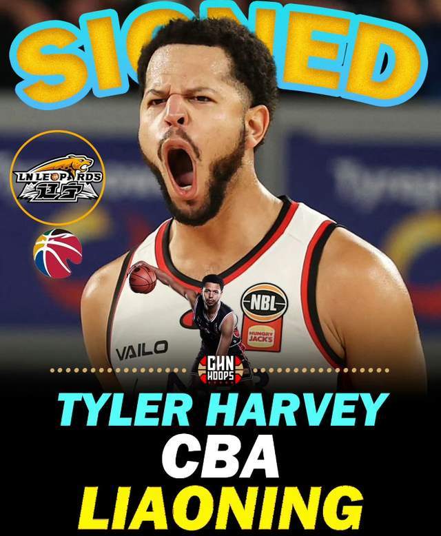 单场33+11超级外援正式重返CBA！辽篮抢人成功，能否补强最大短板