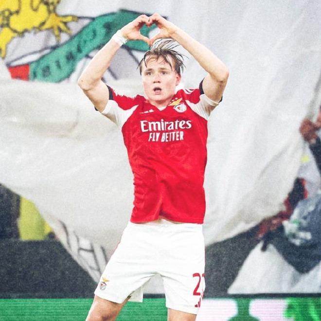 挪威锋线黄金时代！谢尔德鲁普欧冠双响，哈兰德领衔北欧风暴已至