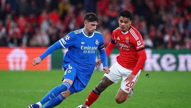 欧冠：巴尔韦德免遭处罚！欧足联驳回本菲卡申诉