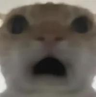 啊！NBA考虑取消合同！湖人勇士有意接手伦纳德