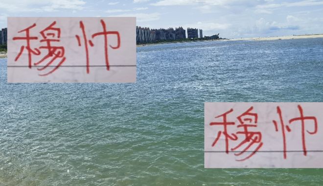 海港歷史最佳！穆斯卡特除了亞冠不行外 中超是絕對王者