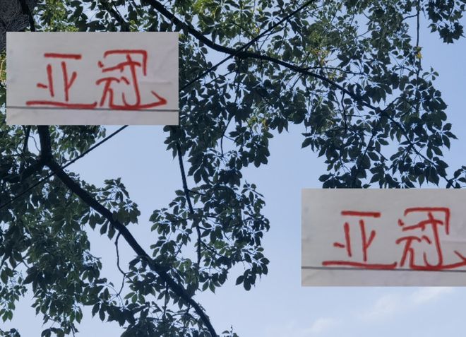 申花 +海港 2025年最后主場(chǎng)人數(shù) 都沒(méi)有成都蓉城多