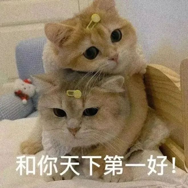 1-1!交易典范!美记建议里夫斯换字母哥