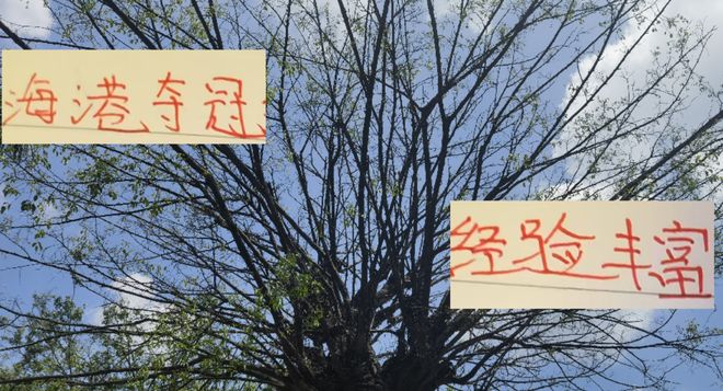 10年里！前四的球队 只有海港有中超联赛夺冠经历