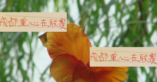 对亚冠！成都蓉城已经表明态度 就不知道申花+海港的想法了！