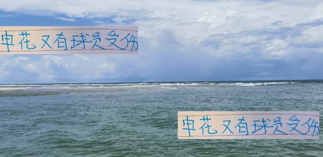 坏消息！蒋圣龙跟阿苏埃没打亚冠是受伤 好消息申花生死战都首发