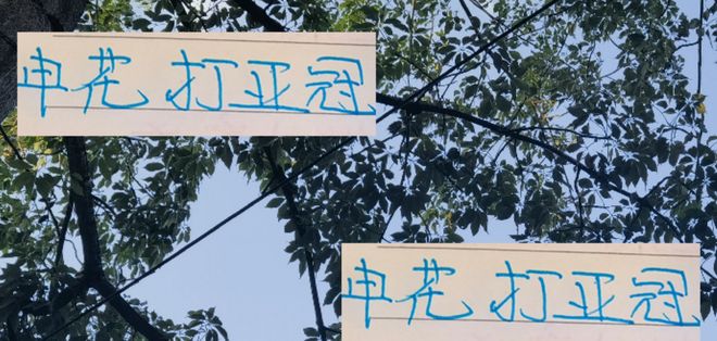 定了！申花国庆节打亚冠 会派最强阵容！