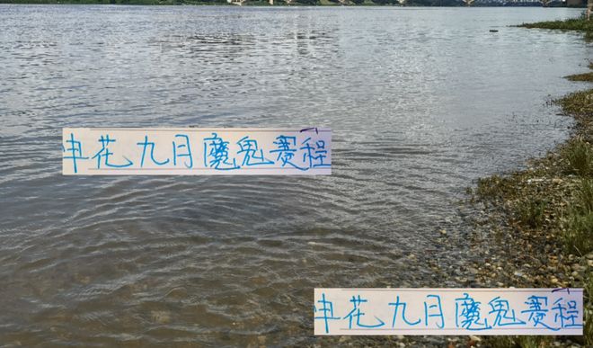申花九月魔鬼赛程 联赛跟亚冠总得选择一个 如全要可能就四大皆空