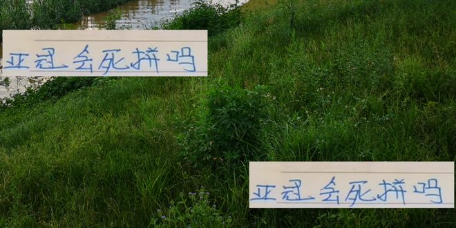 成都明确亚冠比赛不设定目标 压力轮到申花了 冲刺阶段会死拼吗
