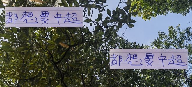 都想要中超冠军！都留力中超 ！ 但夺冠概率最大还是成都+申花