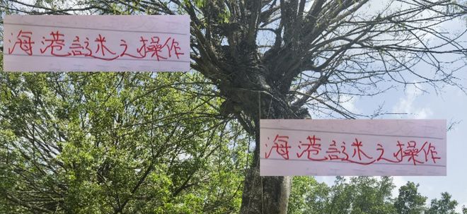 海港在亚冠谜之操作 3比0落后 还舍不得换下主力